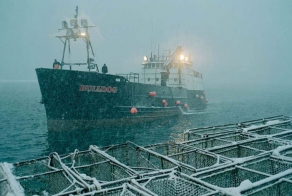 Добыча краба, трески и палтуса в Беринговом море (37 фото)