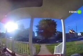 Крупногабаритная женщина-курьер оказалась в неприятной ситуации