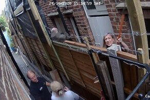 Видео: неуравновешенная дама забрасывает соседей кирпичами через забор
