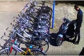 Преступление и наказание: вредителя настигла карма