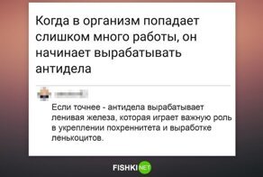 Пост настолько пропитан ленью, что... [надо придумать конец заголовка]