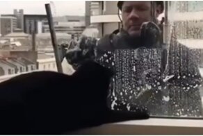 Мойщик окон играет с котом