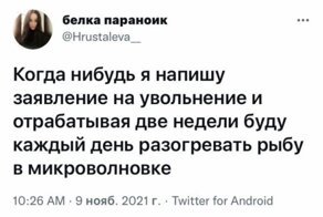 Отомстили! 20 случаев, когда обиженные и угнетенные смогли постоять за себя