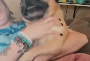 Мопс не любит стричь когти