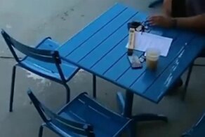 Пёс устроил переполох в кафе