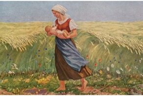 Почему же детей "находят" в капусте?