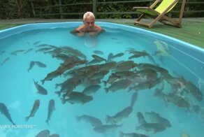 Что будет, если искупаться в одном бассейне с пираньями