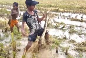 Эти дети настолько суровы, что питон для них просто игрушка