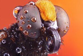 20+ лучших снимков с конкурса All About Photo Awards 2022