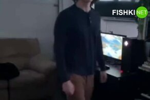 Как породы собак реагируют на грабителей