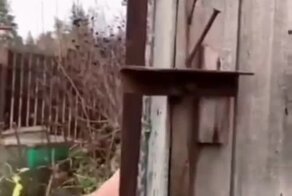 Оригинальная система безопасности для гаража