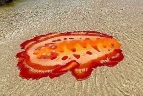 20+ вещей и явлений, смотреть на которые и жутко, и любопытно