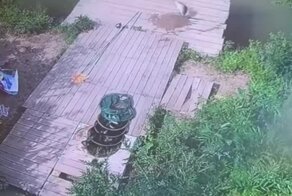 Никогда не стоит сдаваться