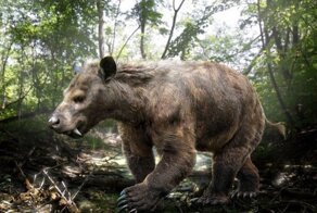 Титаноиды: первые млекопитающие размера XXL