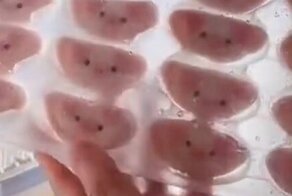 Забавные пельмени, которые жалко есть