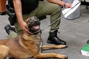 Полицейский пёс не мог скрыть эмоций на своей присяге