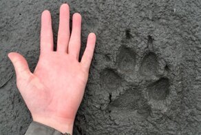 35 неожиданных находок и открытий, которыми поделились пользователи сети
