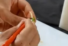 Шедевр из овощей