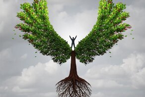 Дерево как составляющая современного искусства