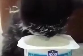 Снежок и Уголёк