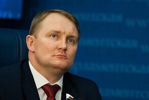 Бывший депутат предложил устроить точечную «депедеризацию» ЛДПР