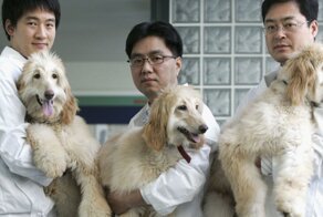 8 научных открытий, которые изменили мир, а мы и не знали