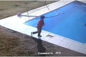Мальчик спас неосторожного щенка из бассейна
