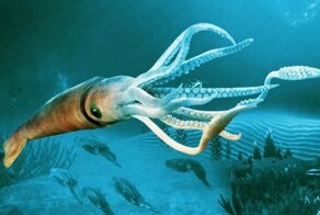 25 не слишком приятных фактов об океане