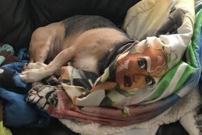 22 запутанных фотографий, для расшифровки которых нужно отличное зрение
