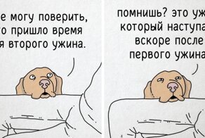 О чём бы говорили животные, если бы изъяснялись на нашем языке