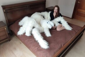 Новый тренд - гигантские плюшевые пауки