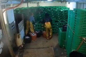 Непростая жизнь на судне