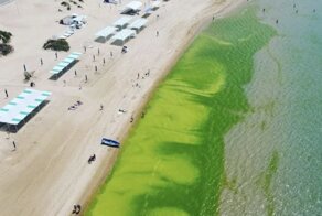 Народу тьма, грязная вода и цены космос: что на самом деле происходит на наших курортах в 2022 году