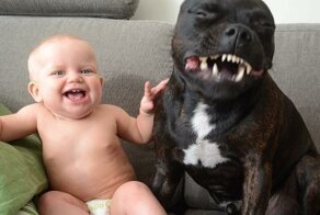 20 доказательств того, что ни один ребёнок не должен расти без питомца