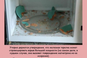 Мифы и факты о микроволновке (10 фото)