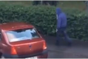 Ворона напала на парня, который шёл по улице