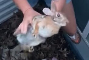 От судьбы не убежишь