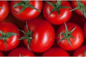 Куда пропали вкусные помидоры