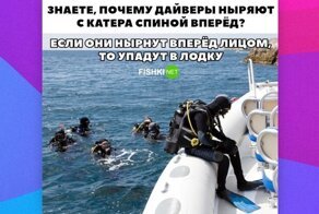 Крутые правила, которыми не стоит пренебрегать