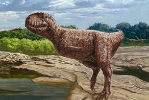 В Египте нашли динозавра-бульдога