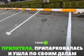 Пятничная подборка автоюмора