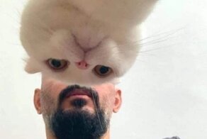 Случайно-идеальные совпадения, которые произошли вопреки всему