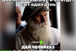 Относительно свежая подборка каламбуров и лингвошуток