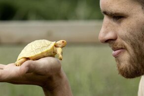 На свет появился белый детёныш черепахи — первый в своём роде