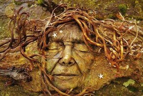 Художник оживляет дерево и рассказывает истории древних духов