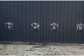 Мужчина сделал забавные маски в воротах, чтобы его собаки могли наблюдать за прохожими