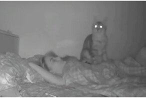 Девушка установила камеру, чтобы увидеть, что делает кошка пока она спит