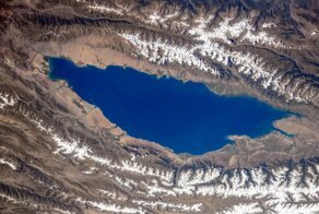 Выявлено откуда бубонная чума пришла в средневековую Европу