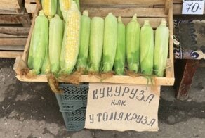 19 примеров рыночных ценников, которые привлекают клиентов получше неоновых вывесок