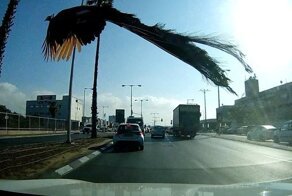 16 фотографий, когда люди неожиданно встречали диких животных